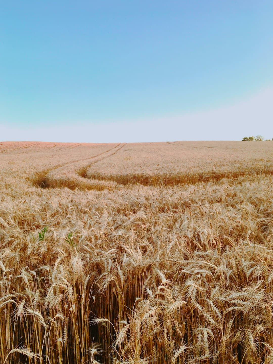 Mining vs staking (PoW vs PoS) and where yield actually comes from
